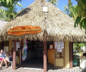 Caribbean Market Village