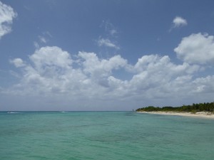 Cozumel-Yucatan-Peninsula- Mexico