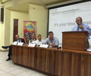 Two Caribbean Entities Join Forces On Marijuana Research citivia-Jamaica