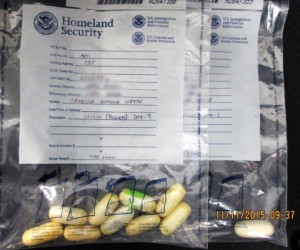 Jamaican Woman Busted With Coke ice-cocaine-bust