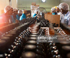Time For Tourism And Rum To Work Together bottling-caribbean-rum