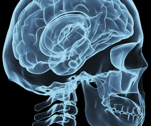 Obama’s America – Episode 258 – Obama’s Brain obamas-brain