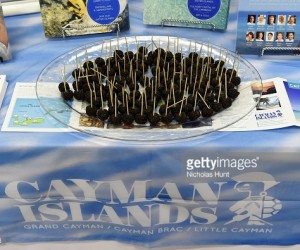 Caribbean Nations With The Best Credit Ratings cayman-islands