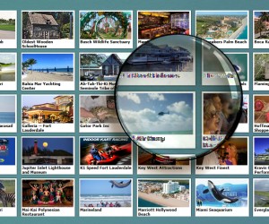 Will The Caribbean Cope With Disruptive Technology? app-cover-tiger-party