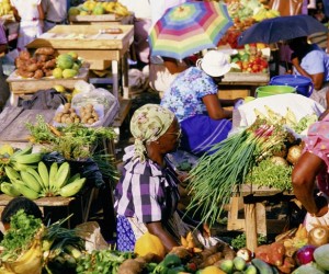 Caribbean-Market