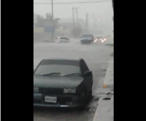 jamaica-kingston-matthew