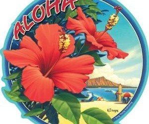 Obama’s America – Episode # 309 – Obama’s Irony From Hawaii hawaii