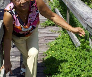 Caribbean Diaspora Radio Personality Is No More pat-bailey-gil-and-pat-bailey-show