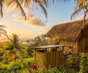 From A Treehouse In The Bahamas To A Cottage In Negril, Airbnb Caribbean Offers It All Airbnb-Kalinago grass-roofed-hut-Dominica.