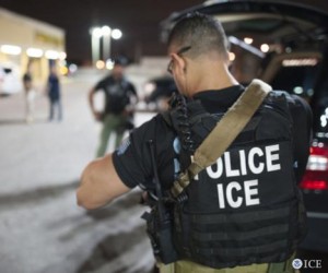 Three Caribbean Nationals Among 76 Busted By ICE In Florida US-ICE