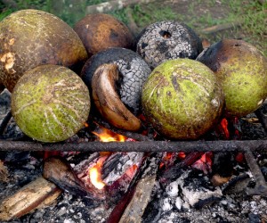 roasting-breadfruit