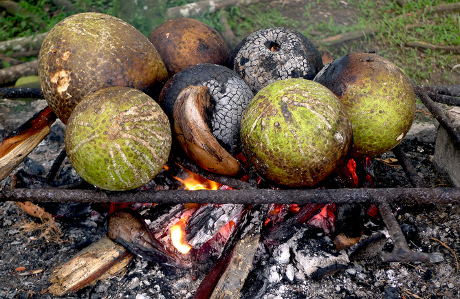 roasting-breadfruit
