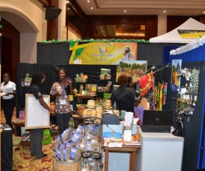 The Jamaican Diaspora: Convergence or Divergence jamaica-diaspora-conferencejamaica-diaspora-conference