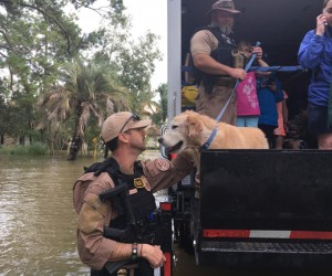 ICE And Undocumented Immigrant Victims Of Hurricane Harvey usice-playing-a-more-humane-role-after-harvey