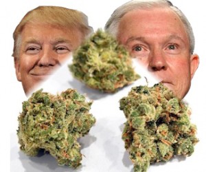 Trump’s America – Episode #39 – Trump’s Other Drug “War” trump-and-sessions-drug-war