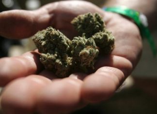 Marijuana News – A Bahamas Named Stock To Watch cannabis-consortium--inc-edibles