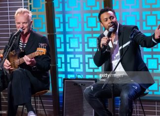 sting-and-shaggy