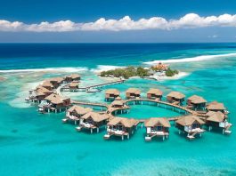 caribbean-tourism-and-global-market-share