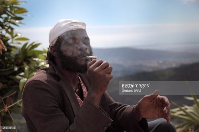 jamaican-rasta jamaican-rasta