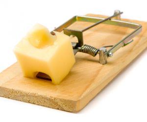 Trump’s America – Episode 79 – Falling Into Trump’s Trap democrats-falling-into-trumps-mousetrap