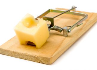 democrats-falling-into-trumps-mousetrap