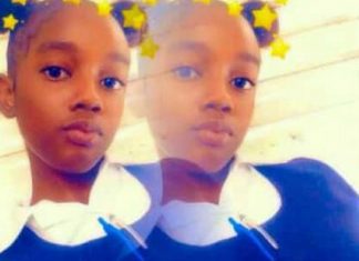 One Arrest Made In Ghoulish Murder Of Jamaican Teen one-arrested-in-yetanya-francis-murder