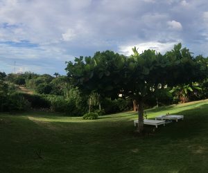 Airbnb Version For Marijuana Lovers Now In The Caribbean Budandbreakfast-Jamaica-Property