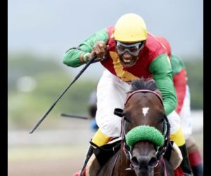 Jamaican Jockey Vassell Najair Dead After Caymanas Park Mishap Vassell-Najair-dead-in-jamaica