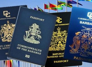 When Skills Matter More Than Passports: A Caribbean Reckoning