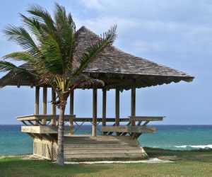 Who Owns Tourism? who-owns-caribbean-tourism