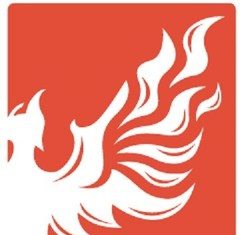 Phoenix Tower International Closes $485mn Term Loan Facility to Finance Further International Growth Phoenix-Tower-International