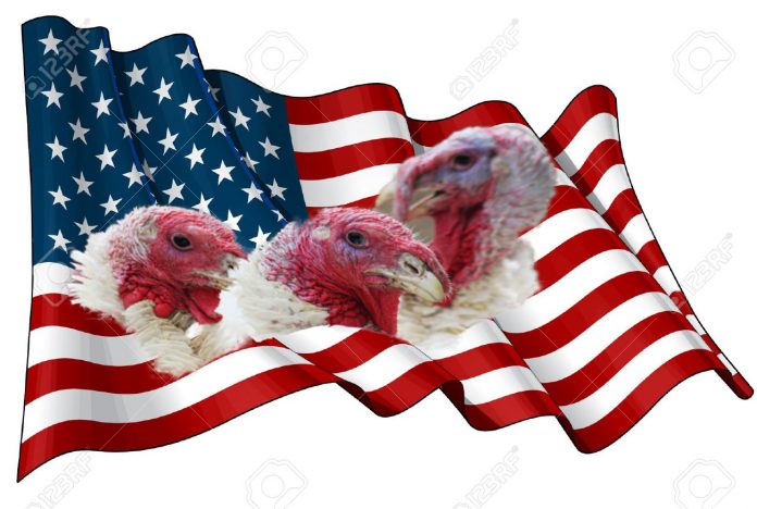 The-US-biggest-turkeys-in-2018