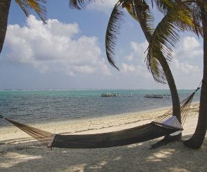 caribbean-travel-photo-of-the-day-cayman-islands