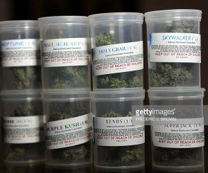 What About A Referendum On Medical Marijuana Legalization Across The Caribbean? medicinal-weed-and-the-caribbean