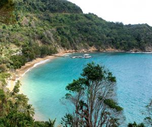 CARIBBEAN TRAVEL NEWS ROUNDUP- APRIL 5, 2019 caribbean-travel-trinidad-and-tobago