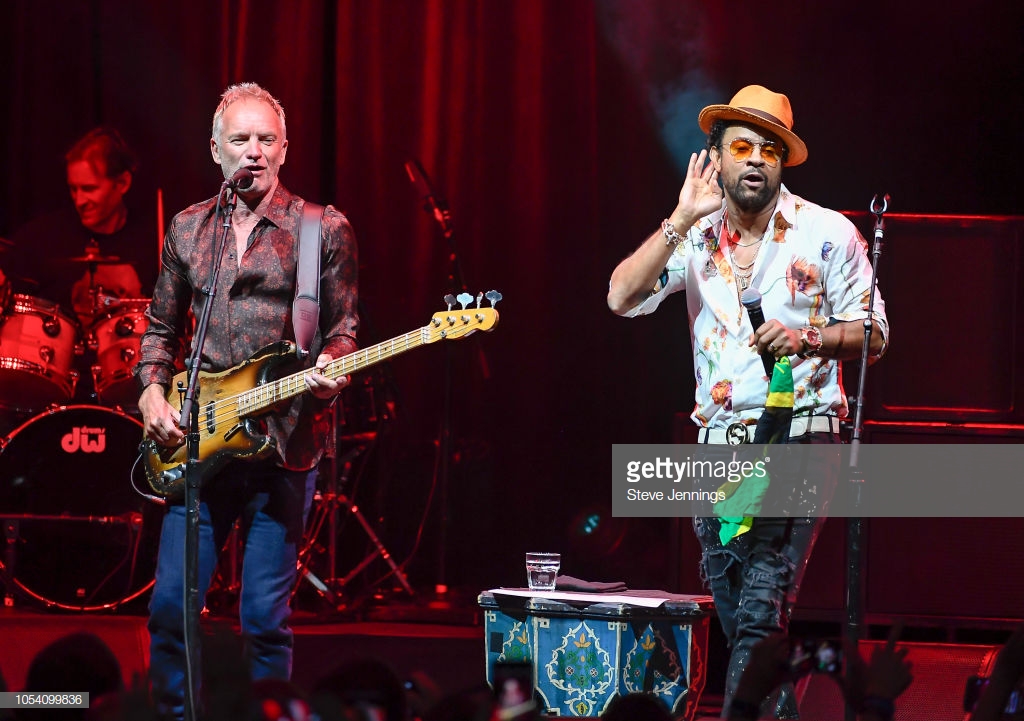 shaggy-and-sting shaggy-and-sting