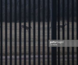 10 Reasons Why 5 Billion Cannot Build A Wall On The US’ Southern Border us-southern-border-wall