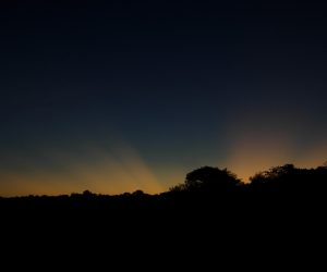 Caribbean Travel News Round-Up – Jan. 25, 2019 caribbean-travel-news-guyana