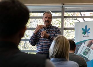 Marijuana News Roundup – Feb. 1, 2019 vincente-fox-marijauna