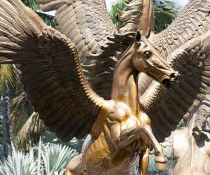 CARIBBEAN TRAVEL PHOTO OF THE DAY – BAHAMAS bahamas-caribbean-travel-photo-of-the-day