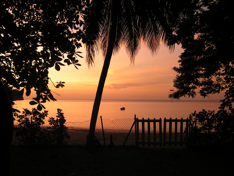 caribbean-travel-photo-of-the-day-tobago
