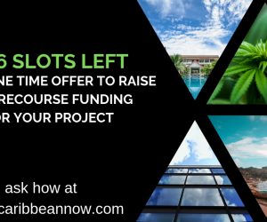 CARIBBEAN BUSINESS AND FINANCE REPORT