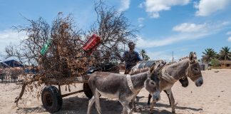 travel-photo-of-the-day