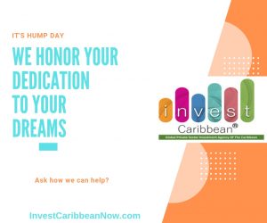 CARIBBEAN BUSINESS AND FINANCE REPORT invest-caribbean