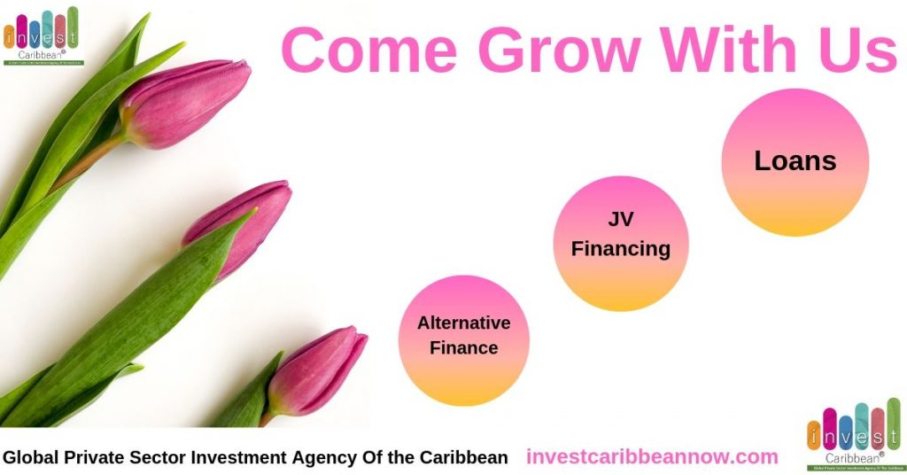 INVEST-CARIBBEAN