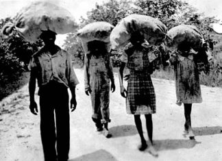 BAHAMIAN-IMMIGRATION-IN-SOUTH-FLORIDA