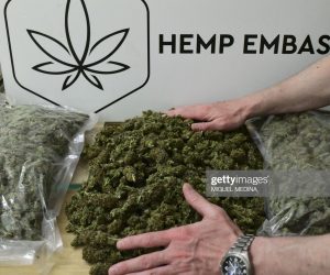 MARIJUANA NEWS ROUNDUP – JUNE 14, 2019 MARIJUANA-ITALY