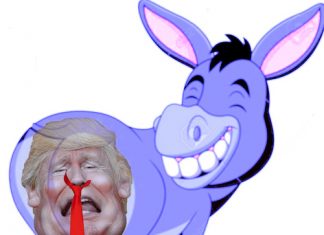 DEMOCRATS-AND-2020-ELECTIONS