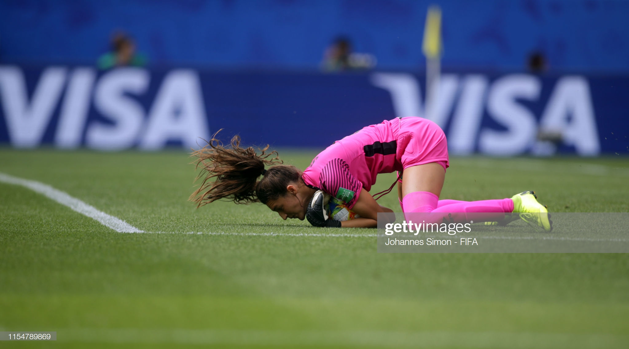 schneider-saves schneider-saves