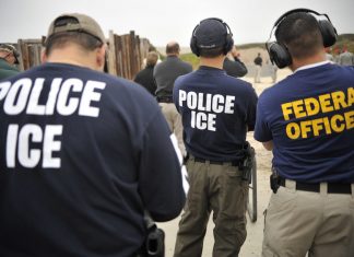 Caribbean Immigrant Arrests Saw Minimal Spike In 2018 us-ice